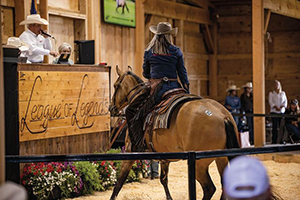 A professional rider on a horse